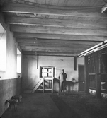 Man inne i ladugård vid Runnaby gård, 1930-tal