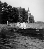 Kabelrulle på båt vid nedläggning av kabel till Vinön, 1952-08-11
