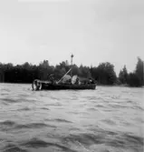 Nedläggning av kabel till Vinön, 1952-08-11