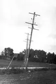 Kraftledning i Hälgenäs i Bo, 1953