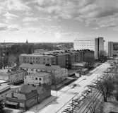 Vy över regionsjukhuset,1969