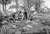 Planteringsarbete i Skytteparken, 1927
