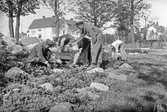 Planteringsarbete i Skytteparken, 1927
