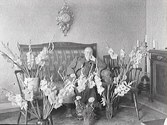 Herr Johansson, Varbergs Importaffär, firar troligen sin 50-årsdag. Han sitter i en jugendsoffa med ett väggur ovanför och en mängd blommor (gladiolus) i vaser på golvet omkring sig. Bilden är tagen i bostaden.