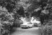 Villa på Villagatan 17, 1967