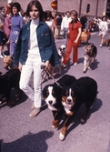 Parad med hundar på Storgatan, 1970-tal