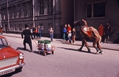 Maskeradparad genom stan, 1970-tal
