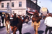 Vilda djur på Storgatan, 1970-tal