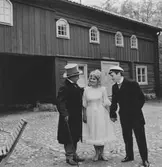 Glada skådespelare i Wadköping, 1960-tal