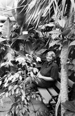 Anita i den tropiska avdelningen i stadsparkens växthus, 1988