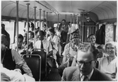 Busstur, 1955