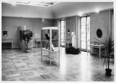 Utställning i Örebro Läns Muséum, 1967