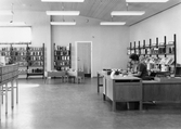 Utlåningsdisk på Adolfsbergs filialbibliotek, 1969