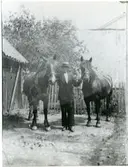 Västerås, kv. Oden.
Lars Ramströms häståkeri, hörnet Hamngatan-Södra Esplanaden. 1912.