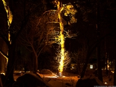 Upplyst träd på ljusfesten i Baronbackarna, 2006-12-01