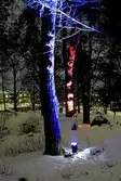 Upplyst träd på ljusfest i Baronbackarna, 2007-03-12