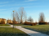 Park i Norra Ladugårdsängen, 2005-11-21
