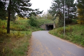 Cykelbanan som leder till tunnel under motorvägen mot Bettorp, 2010-10-06
