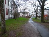 Gångväg under träd i Oxhagen, 2006-12-06