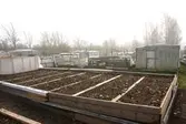 Odlingsområde i Oxhagen, 2008-11-05