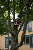 Träd vid seniorgården i Oxhagen, 2008-09-19