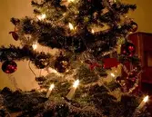 Julgran på Träffpunkt Oxhagen, 2008-12-16