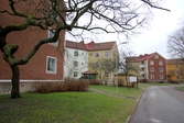 Miljö i Stjärnhusen, Rosta, 2008-02-08