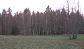 Norra kanten på Varbergaskogen, 2006-11-09