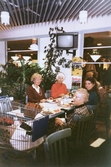 Lunch på Marieberg, 1991