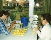 Brukare rensar äpplen, 1986