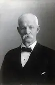 Porträtt av rådman Alfred Ericsson.