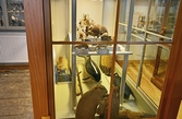 Uppstoppade djur på Biologiska museet, 2014-04-28