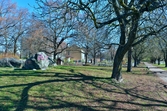 Lövträd och förskola i Drottningparken, 2016-04-09