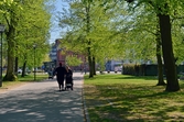Gång- och cykelväg i Slottsparken, 2016-05-11