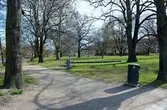 Ekar i Väståparken, 2016-04-19