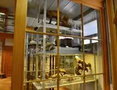 Uppstoppade djur på Biologiska museet, 2014-04-28