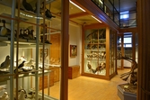 Platsbyggda montrar i Biologiska museet, 2014-04-28