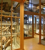 Montrar i Biologiska museet, 2014-04-28