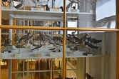 Uppstoppade vadarfåglar på Biologiska museet, 2014-04-28