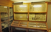 Insekter i montrar på Biologiska museet, 2014-04-28