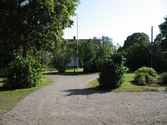 Träd och buskar framför Bondsätters gård, 2006-08-17