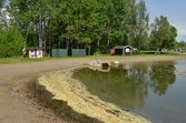 Pollen i Alnängsbadet, 2016-05-24