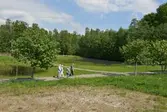 Promenadstigar vid Naturens Hus, 2016-05-24