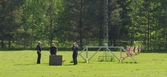 Polishundsträning vid Brukshundsklubben, Karlslund, 2016-05-31
