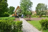 Trädgårdsarbete i Karlaparken, 2016-06-01
