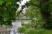 Brygga vid Svartån, Ånäsparken, 2016-06-01