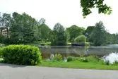 Svartån mellan Väståparken och Hagaparken, 2016-06-01