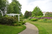 Plantering och pergola i Västra Rostaparken, 2016-06-01