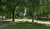 Interiör från Oscarsparken, 2016-06-22