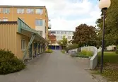 Mur och plantering vid Örnsköldsgatan 37. 2016-10-07